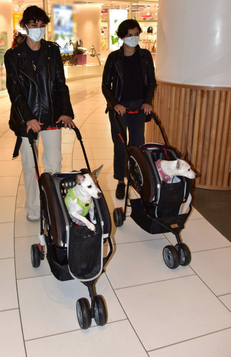 köpeklerim çocuklarım gibi #1