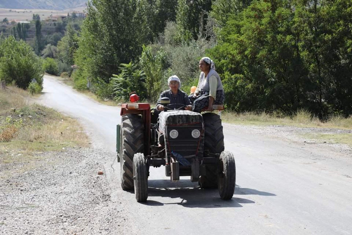 Ankara da 74 yaşındaki eşini kaybettikten sonra bahçe işleriyle kendisi uğraşıyor #2