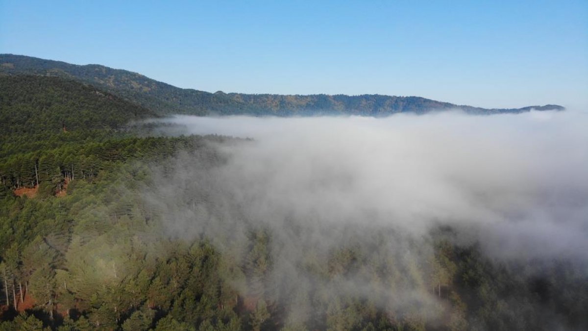 Kaz Dağları'nda bulut geçişleri görsel şölen sunuyor 