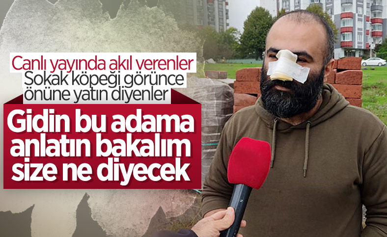 Samsun’da tasmasız pitbull, Azerbaycanlı iş insanının burnunu kopardı 