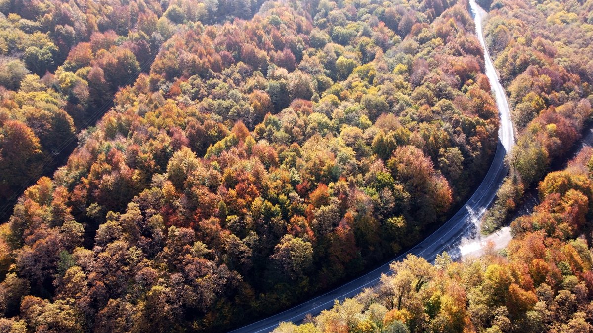 Gölcük Tabiat Parkı ndan sonbahar manzaraları #6