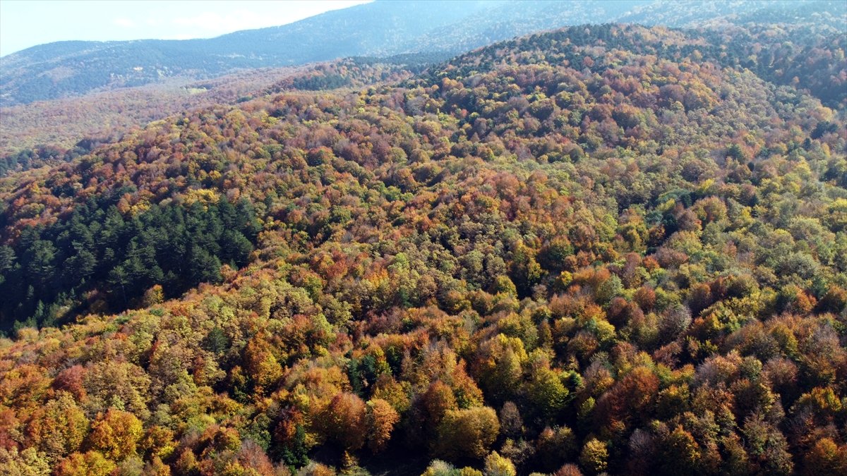 Gölcük Tabiat Parkı ndan sonbahar manzaraları #14