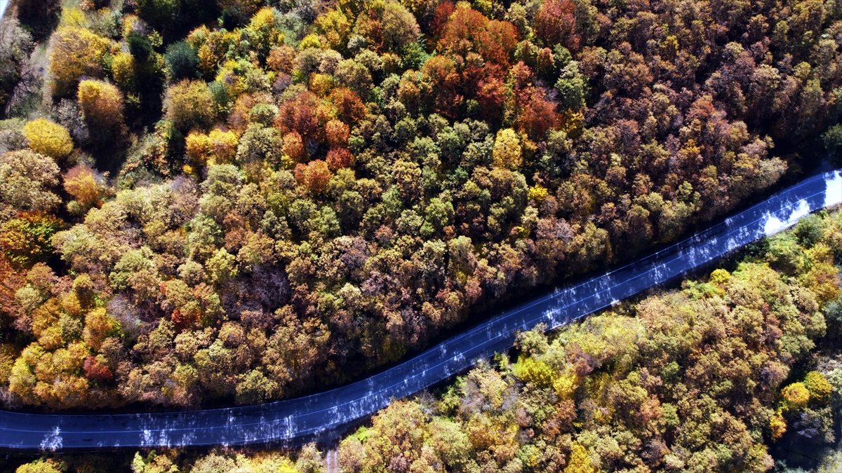 Gölcük Tabiat Parkı ndan sonbahar manzaraları #4