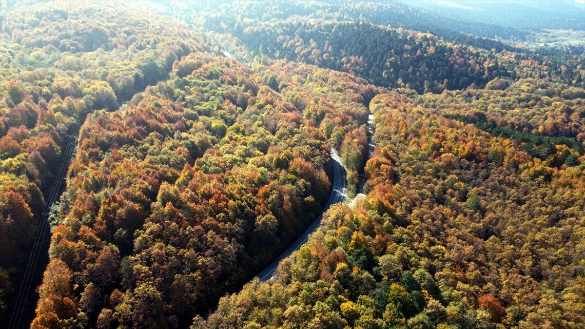 Gölcük Tabiat Parkı ndan sonbahar manzaraları #13