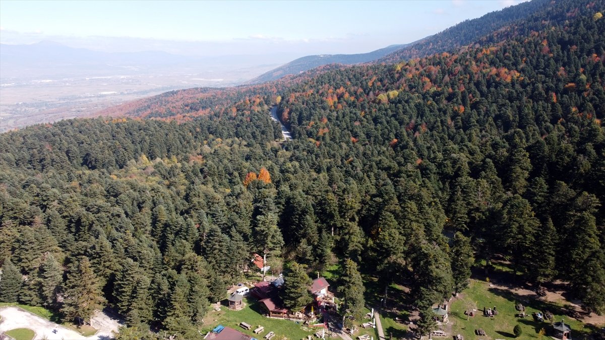 Gölcük Tabiat Parkı ndan sonbahar manzaraları #9