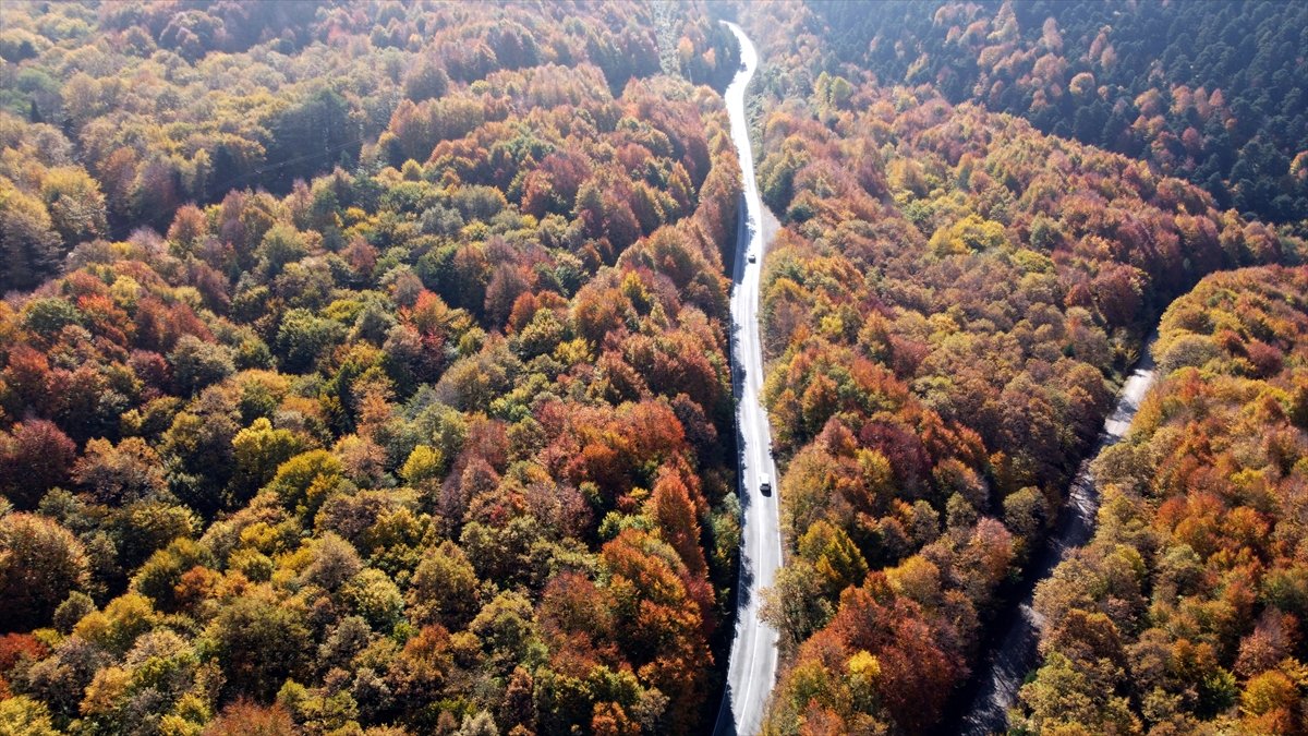 Gölcük Tabiat Parkı ndan sonbahar manzaraları #12