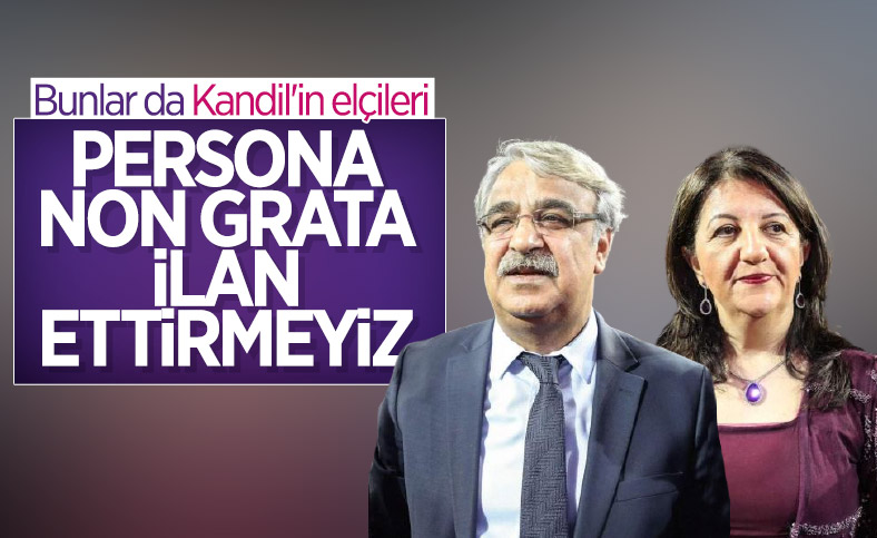 HDP'den 10 büyükelçi kararına tepki