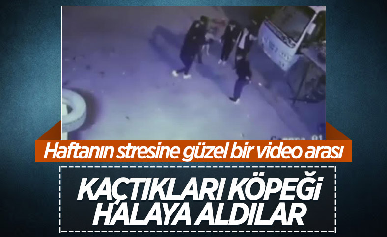 Ankara'da bir grup genç kaçtıkları köpeği halaya aldı