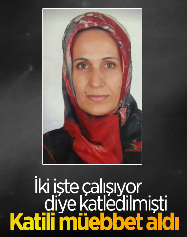Elazığ'da iş tartışmasında öldürülen kadının katiline müebbet