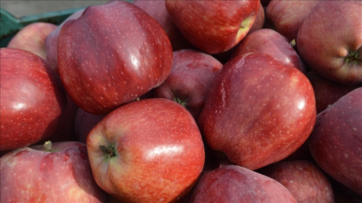 Elma ve elma suyu ihracatı 400 milyon dolara koşuyor #1