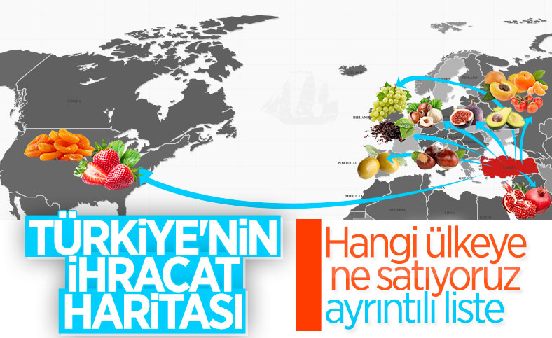 Türkiye hangi ülkeye hangi ürünü satıyor