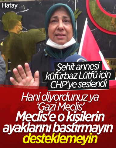Şehit annesinden Lütfü Türkkan tepkisi: Gazi Meclis'e ayaklarını bastırmasınlar