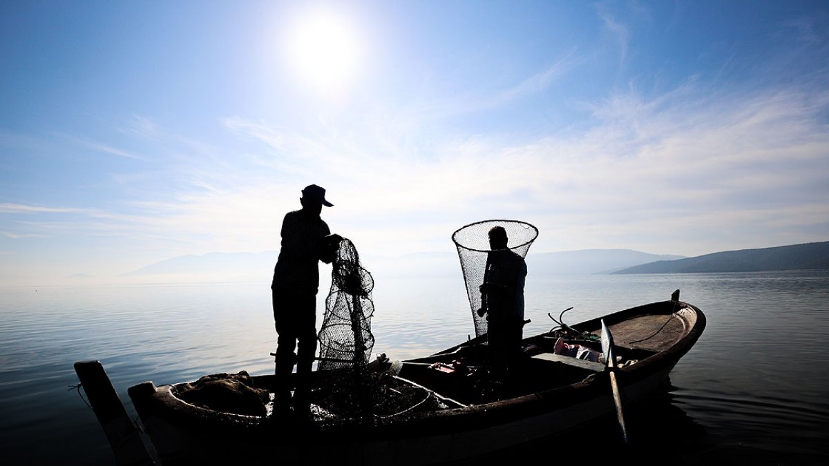 Yılan balığının Meksika dan Türkiye ye yolculuğu #1