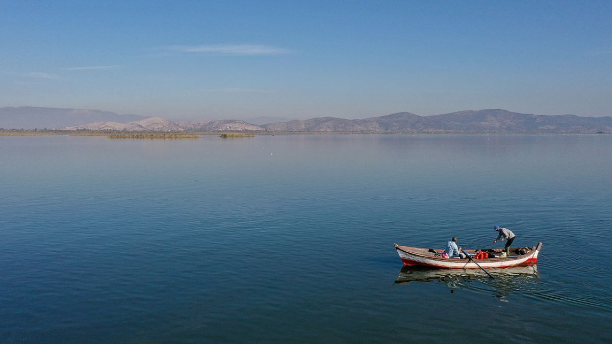 Yılan balığının Meksika dan Türkiye ye yolculuğu #3