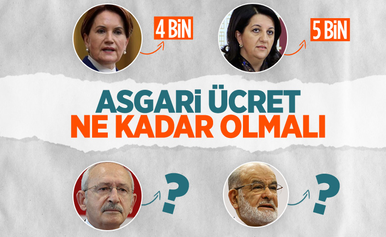 HDP ve İyi Parti'nin asgari ücret önerisi belli oldu 