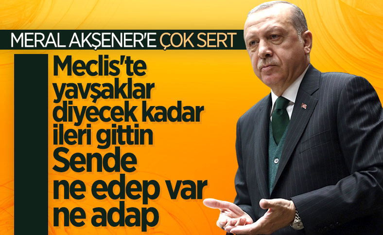Cumhurbaşkanı Erdoğan'dan Akşener'e: Yavşaklar diyebilecek kadar seviyesiz