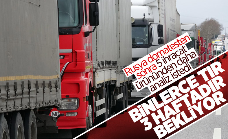 Rusya'nın Türkiye'den gelen ürünleri kapıda beklettiği söylendi