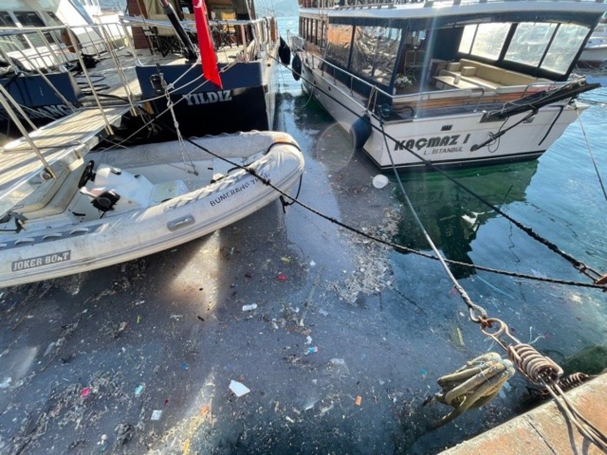 Arnavutköy sahili atıklar ve denizanalarıyla doldu #4