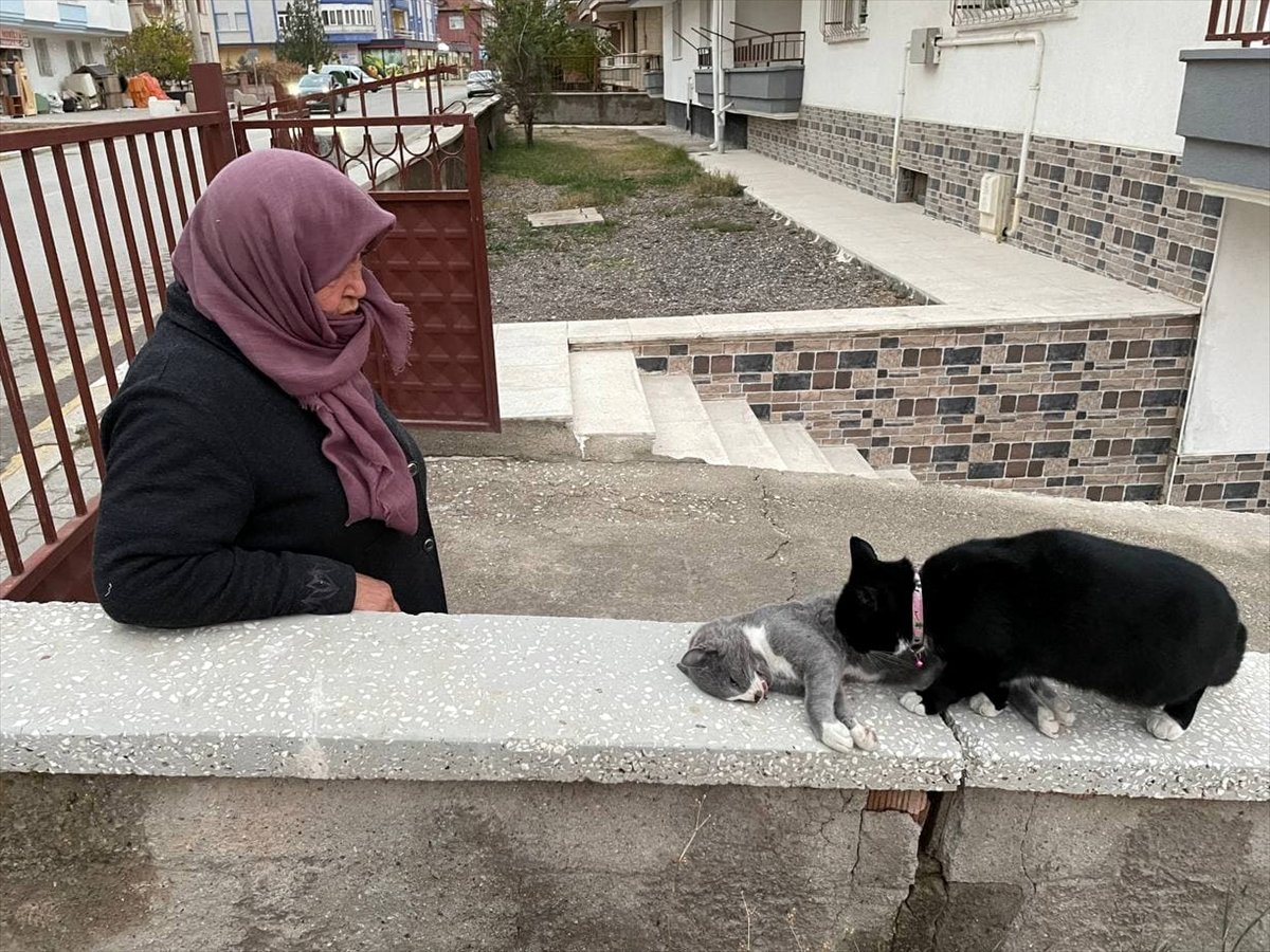 Aksaray da kedisinin öldüğünü gören kadın gözyaşı döktü #2