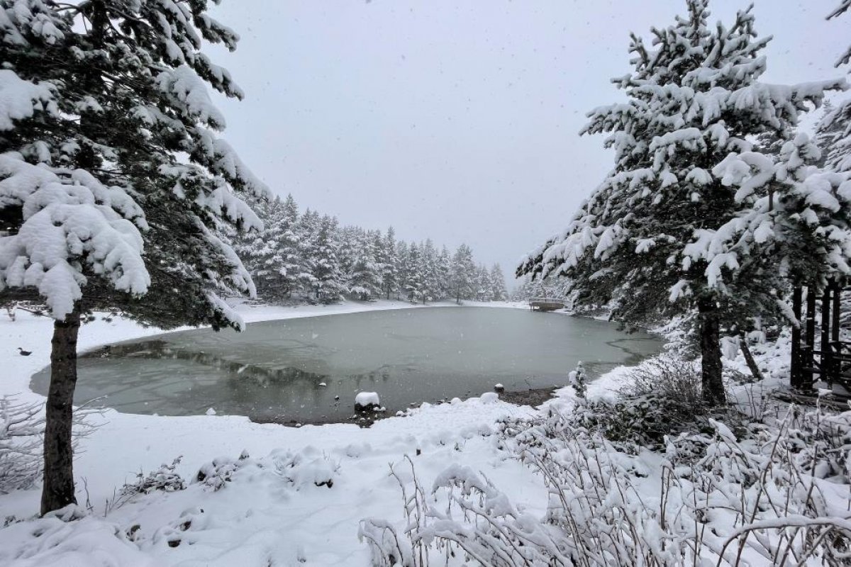 Zigana Dağı beyaza büründü #6