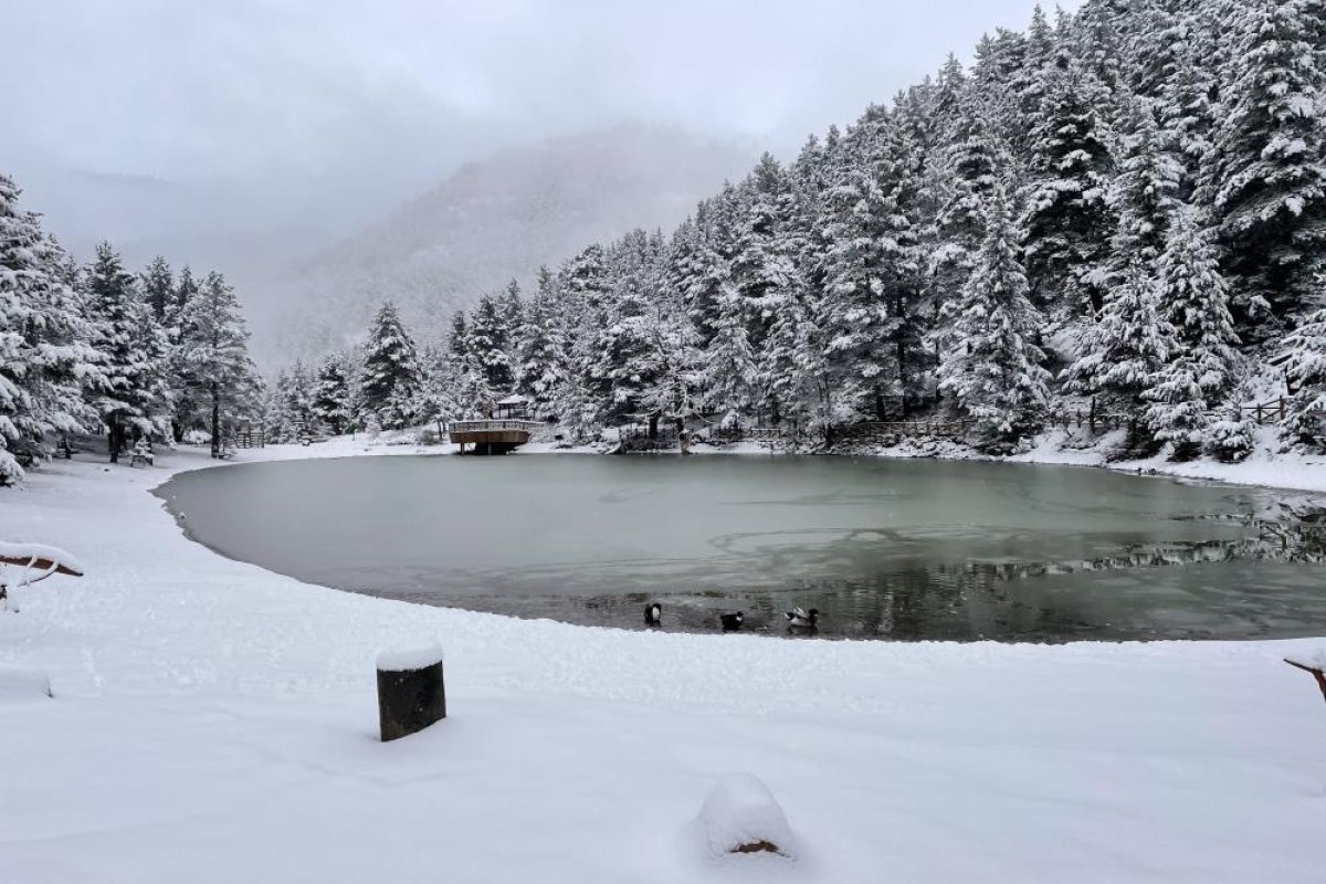 Zigana Dağı beyaza büründü #2