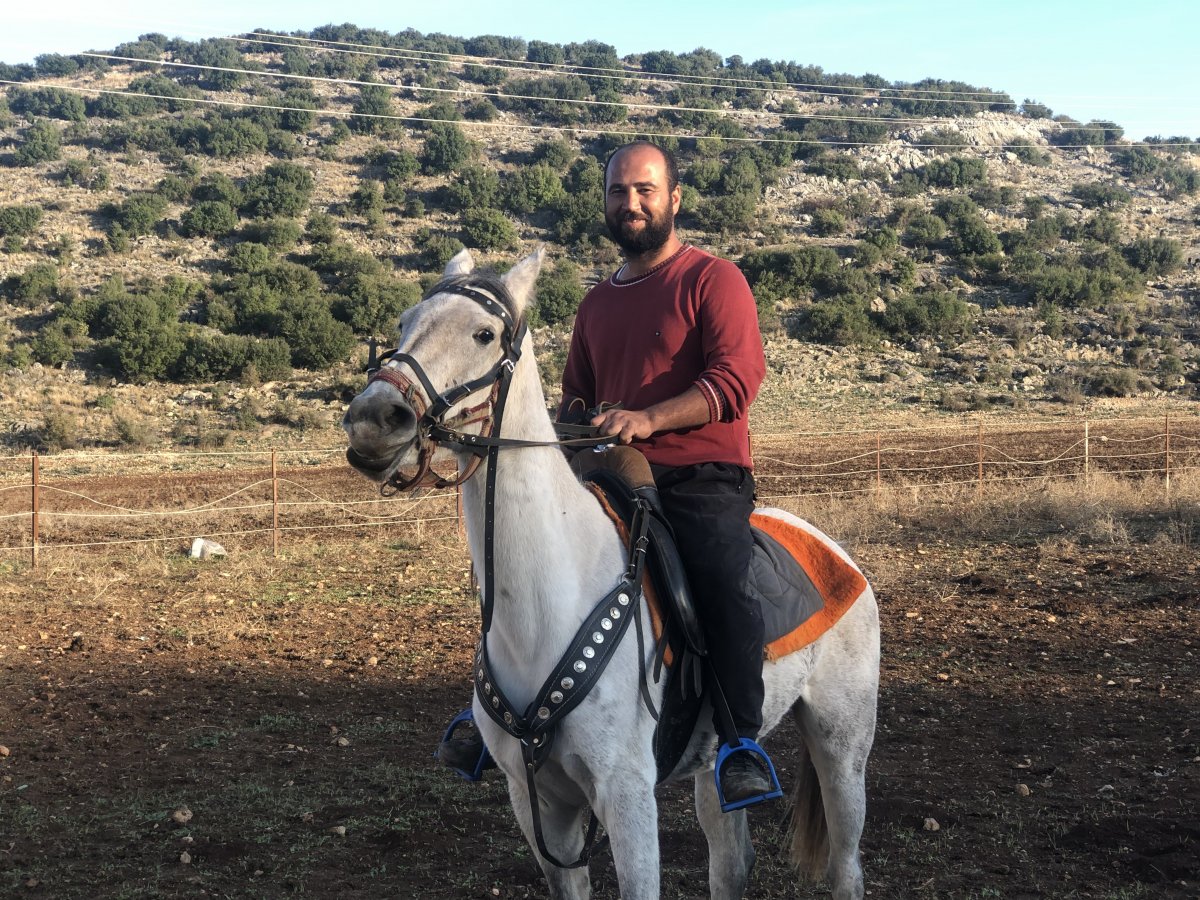 Adana da servet değerindeki atlar yoğun ilgi görüyor #2
