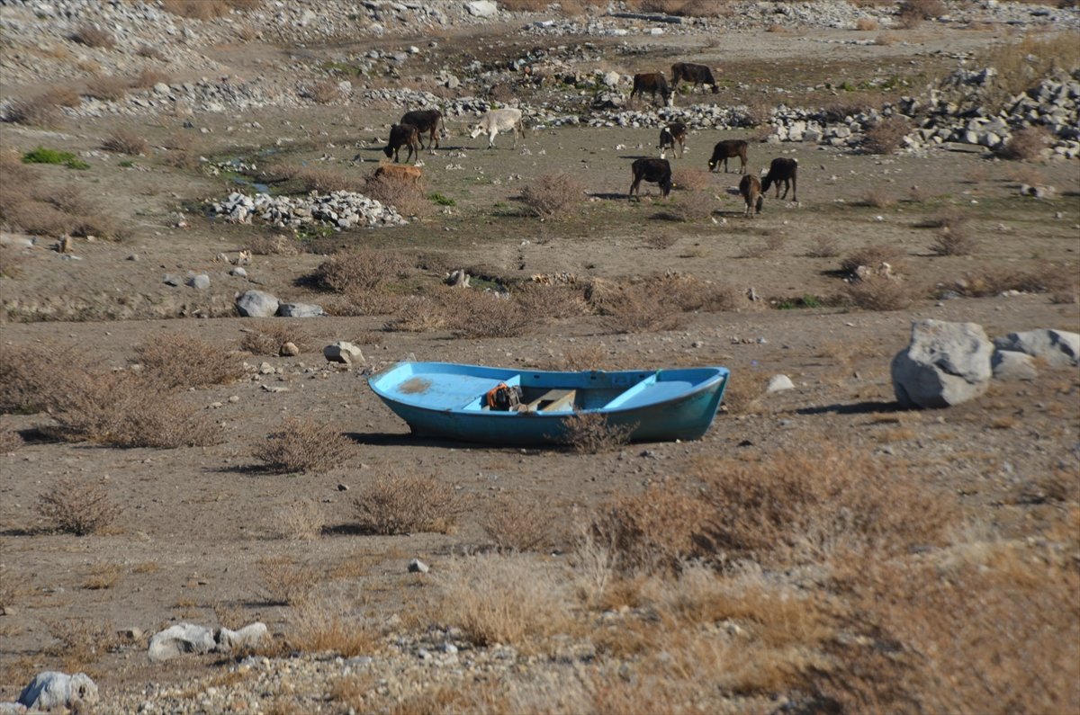 Muş Alparslan-1 Barajı nda kuraklık #1