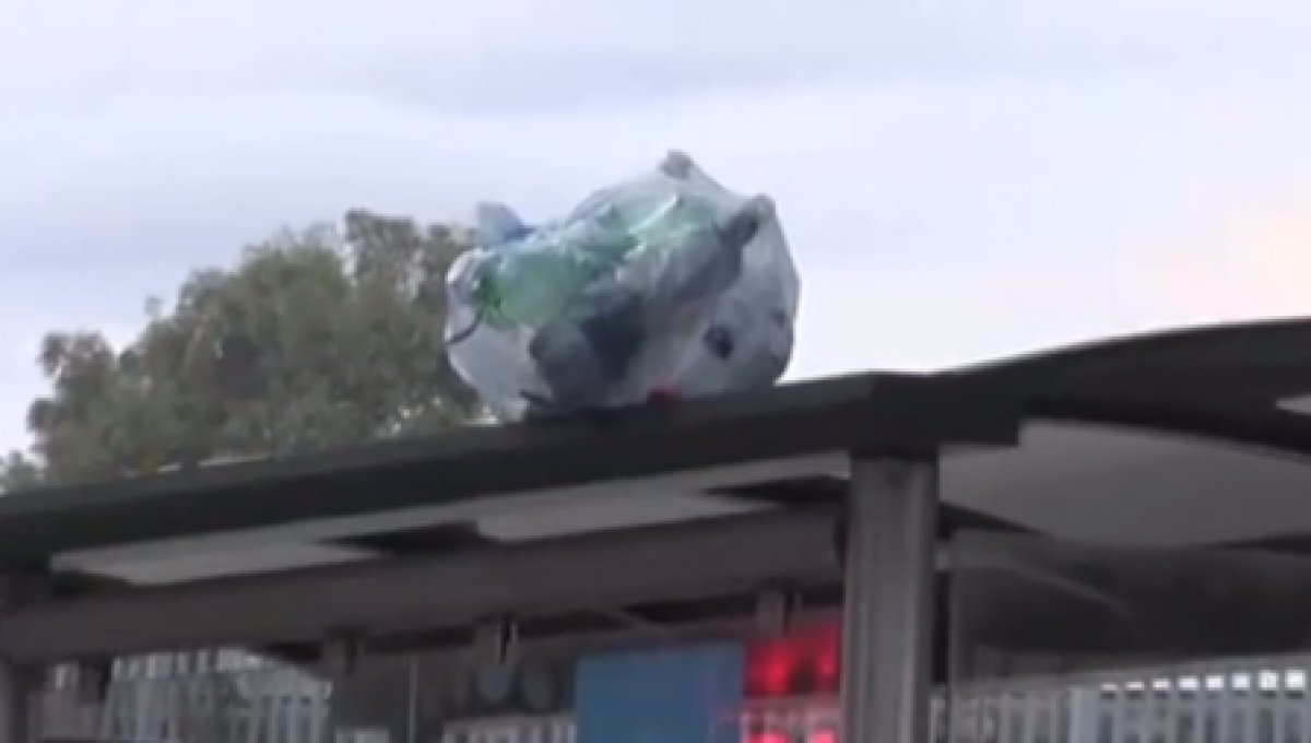 Antalya da konteynere atılan çöpler ağaçta asılı kaldı #5