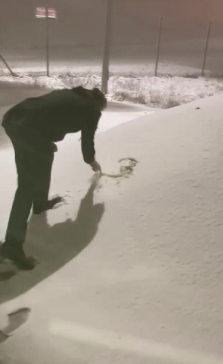 Düzce de kar yağışı başladı #2