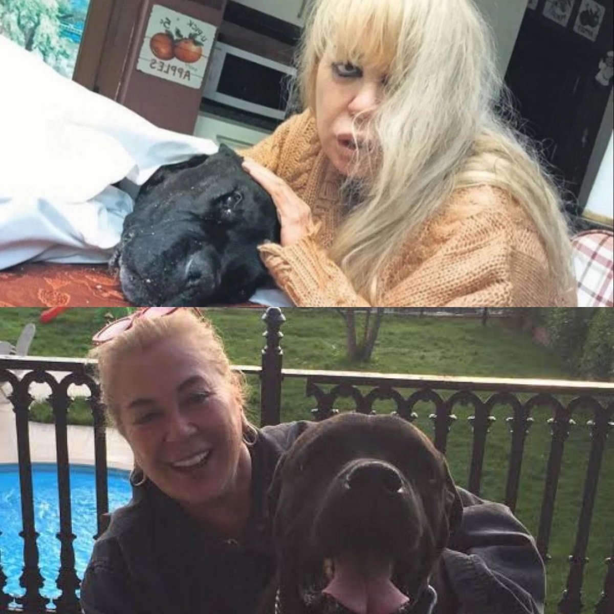 Zerrin Özer in menajerinden intihar açıklaması #1