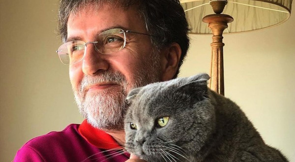 Ahmet Hakan, Bülent Arınç a kedisinin ağzından cevap verdi: Kurtar beni Bülent Abi #1