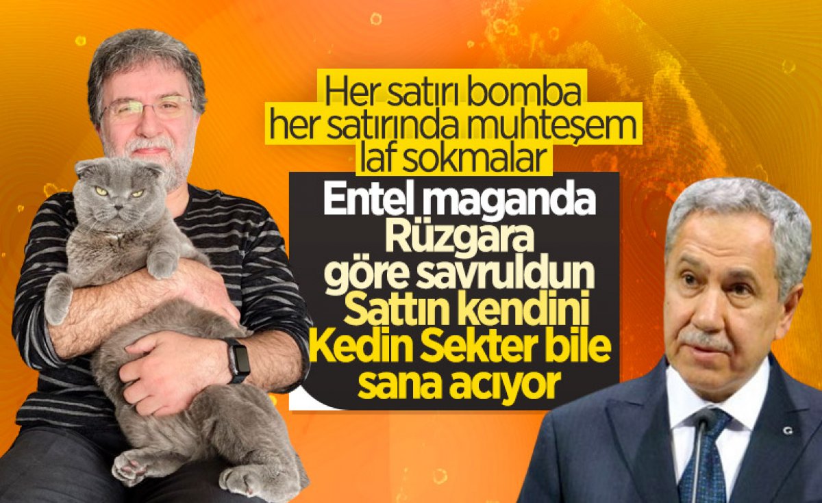Ahmet Hakan, Bülent Arınç a kedisinin ağzından cevap verdi: Kurtar beni Bülent Abi #5