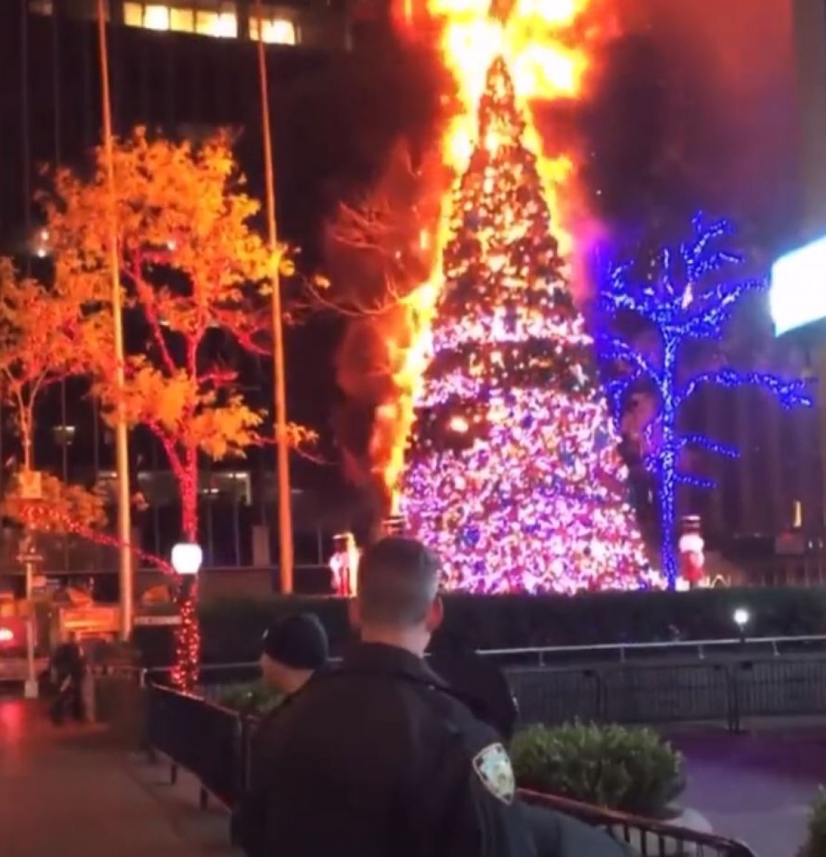 New York ta Noel ağacı yakıldı #1