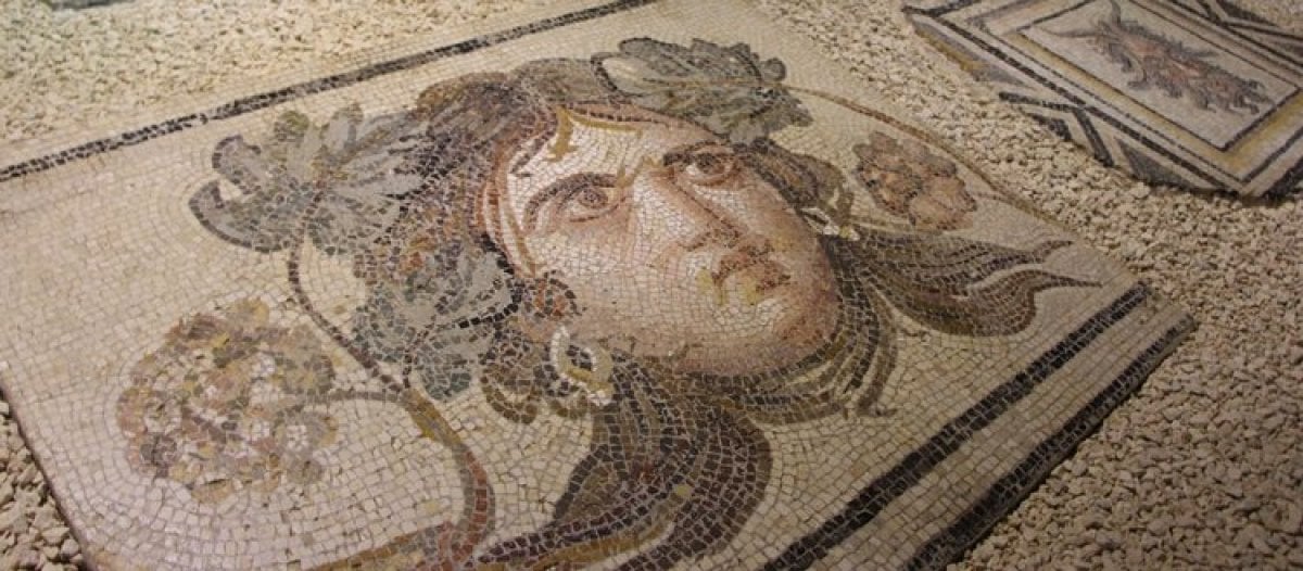 Türkiye nin tarih kokan gözbebeği: Zeugma mozaik müzesi #4