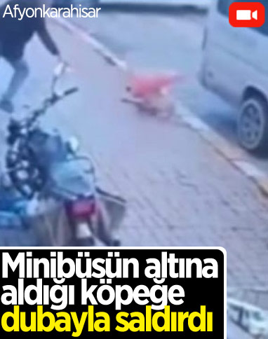 Afyonkarahisar'da bir kişi, minibüsün ezdiği köpeğe trafik dubası ile saldırdı