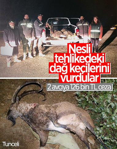 Tunceli'de kaçak dağ keçisi avına 126 bin TL ceza