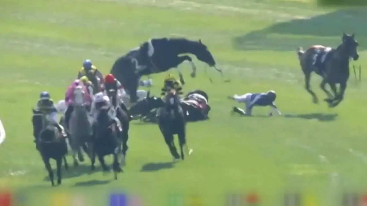 Accident at horse race in Hong Kong: 4 jockeys injured