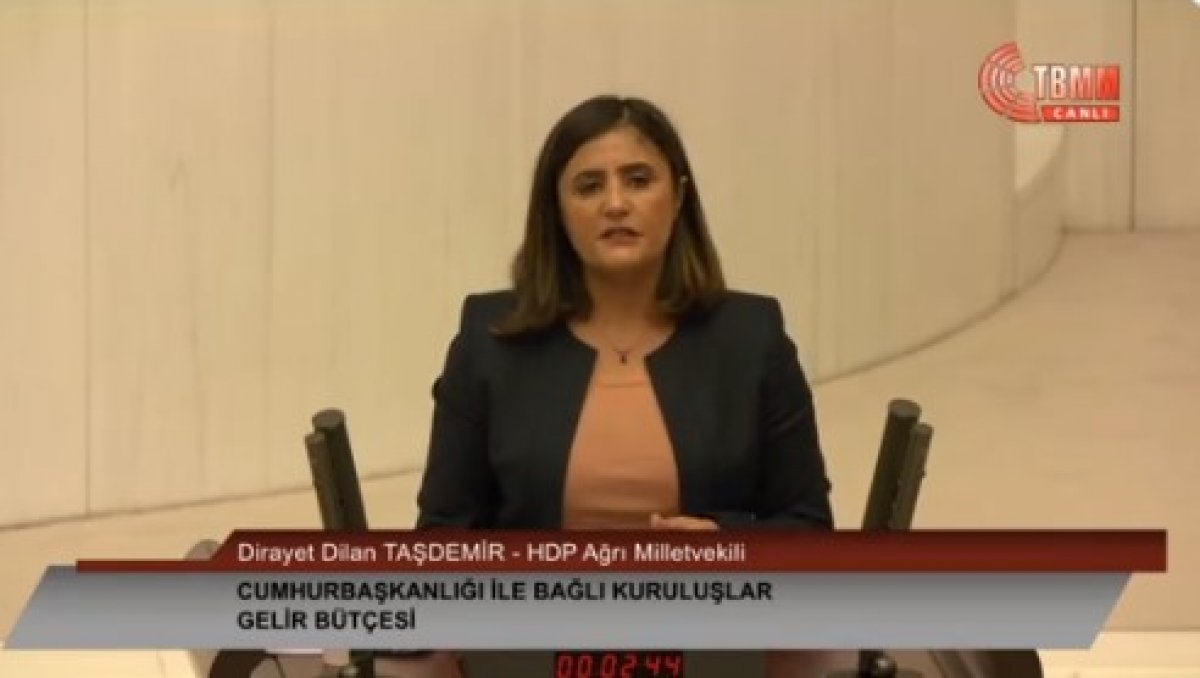 HDP li vekil Dilan Taşdemir in SİHA rahatsızlığı #1
