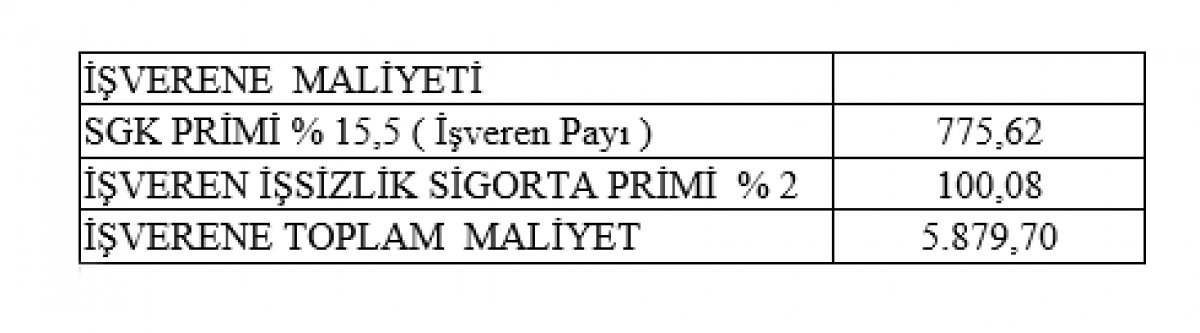 Asgari ücretin işverene maliyeti 5 bin 879 lira  oldu #3