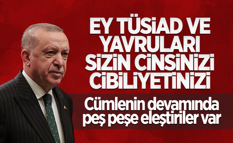 Cumhurbaşkanı Erdoğan'dan TÜSİAD'a sert tepki 
