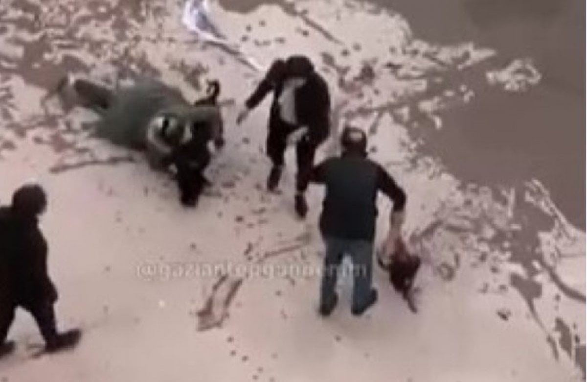 Gaziantep teki pitbull saldırısında 3 tutuklama #1