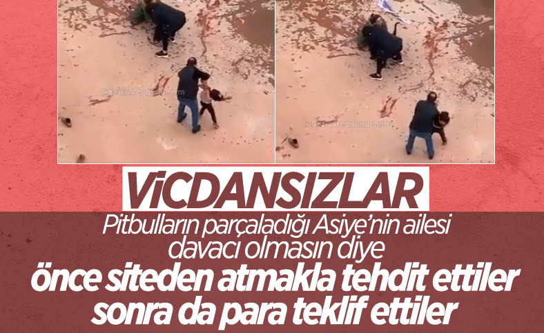 Gaziantep&#39;te pitbull saldırısına uğrayan Asiye&#39;nin ailesi: Davacı olmayalım diye para teklif ettiler