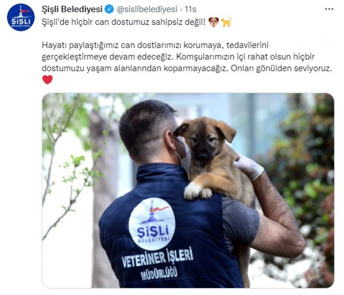 CHP li belediyeler sokak köpeklerinin toplanmasına karşı çıktı #8