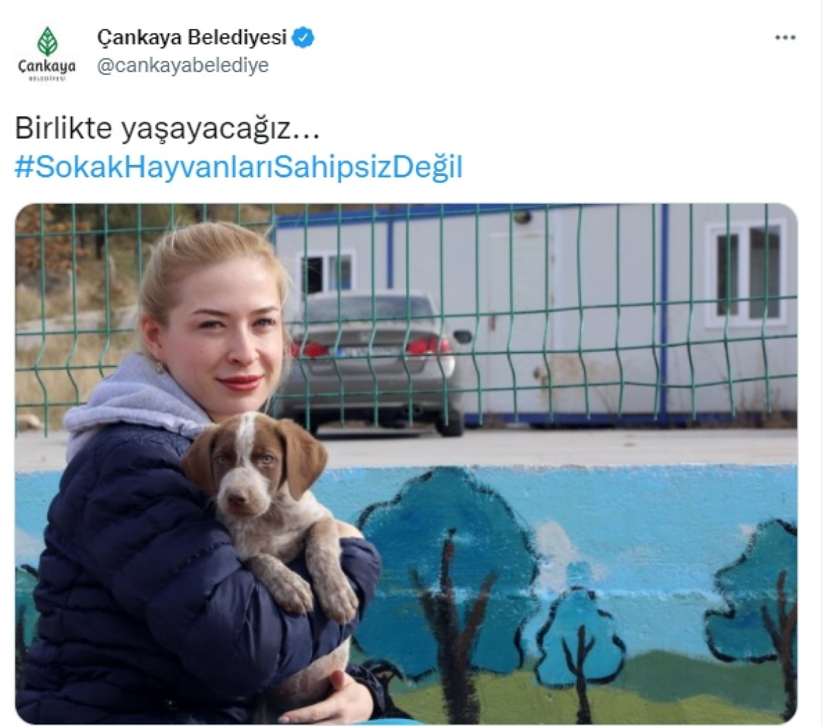 CHP li belediyelerin sokak köpeklerine desteğine tepki  #1
