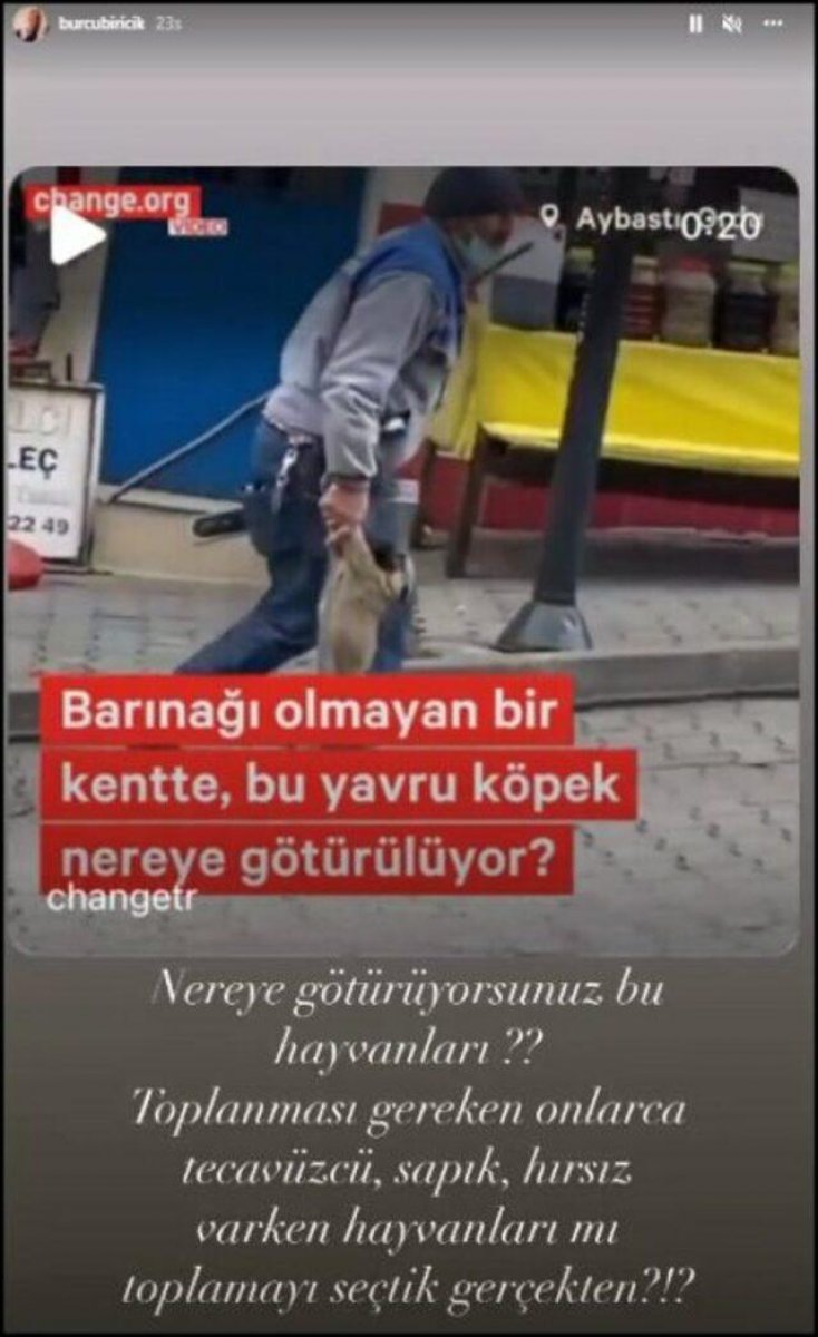 Köpekler yerine tecavüzcü, sapık, hırsızları toplayın #1