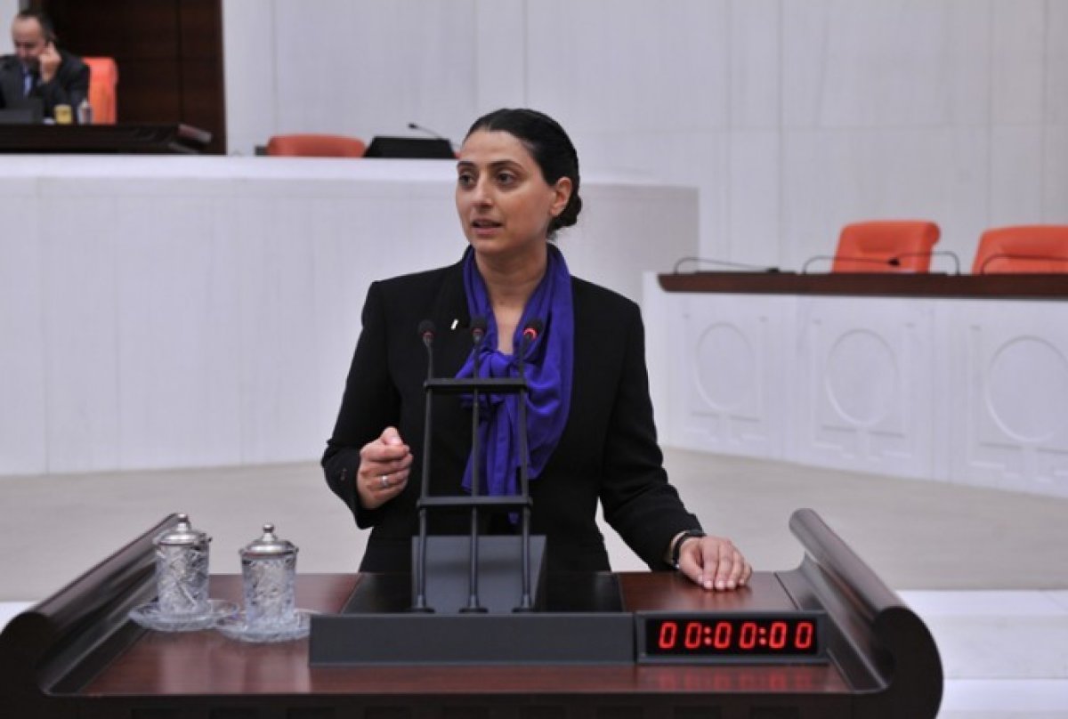 HDP den Meclis e MİT hakkında soru önergesi #2