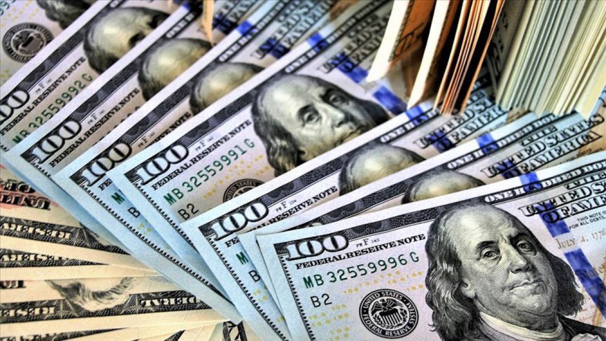 Merkez Bankası rezervleri 111,1 milyar dolara çıktı #1