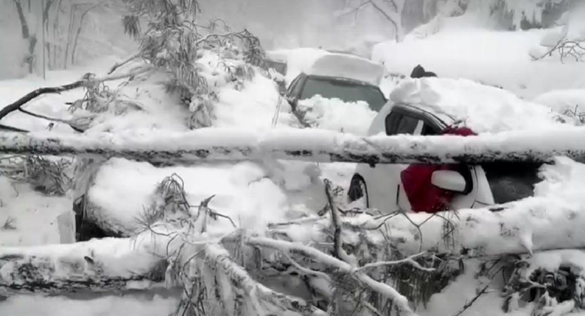 Pakistan da yoğun kar yağışı ölümlere sebep oldu #2