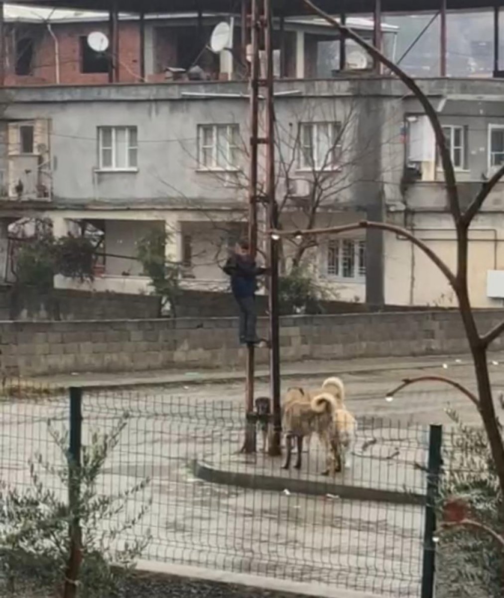 Kahramanmaraş ta köpeklerden kaçan çocuk direğe tırmandı #1