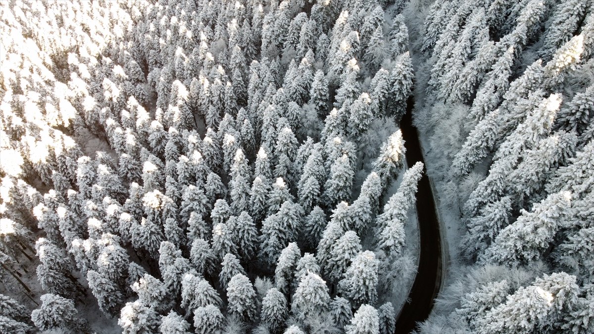 Bolu da ormanlar karla kaplandı #8
